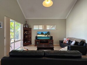 TV