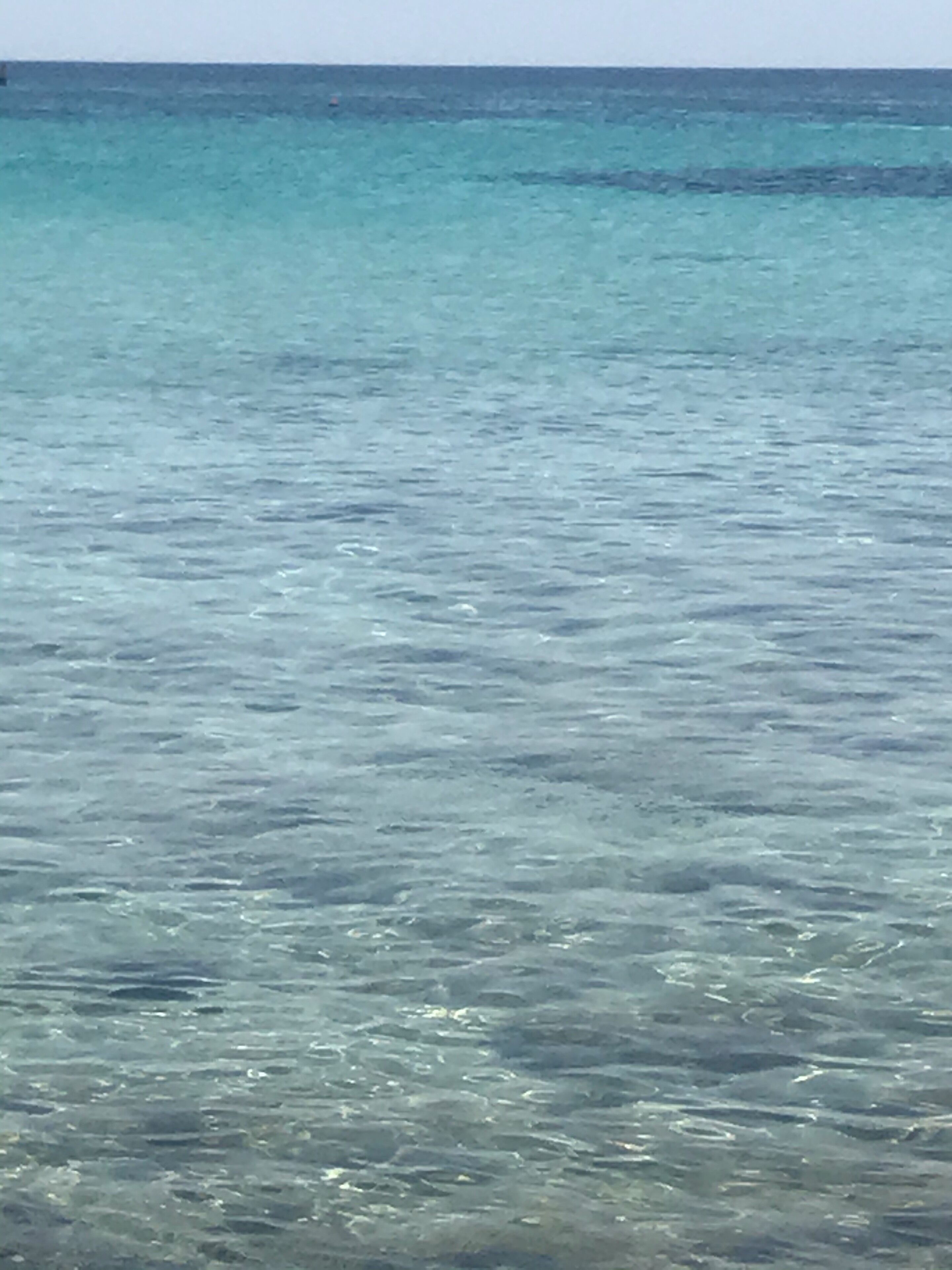 Une vue sur une mer bleue et limpide, sans aucune terre ou construction visible à l’horizon.