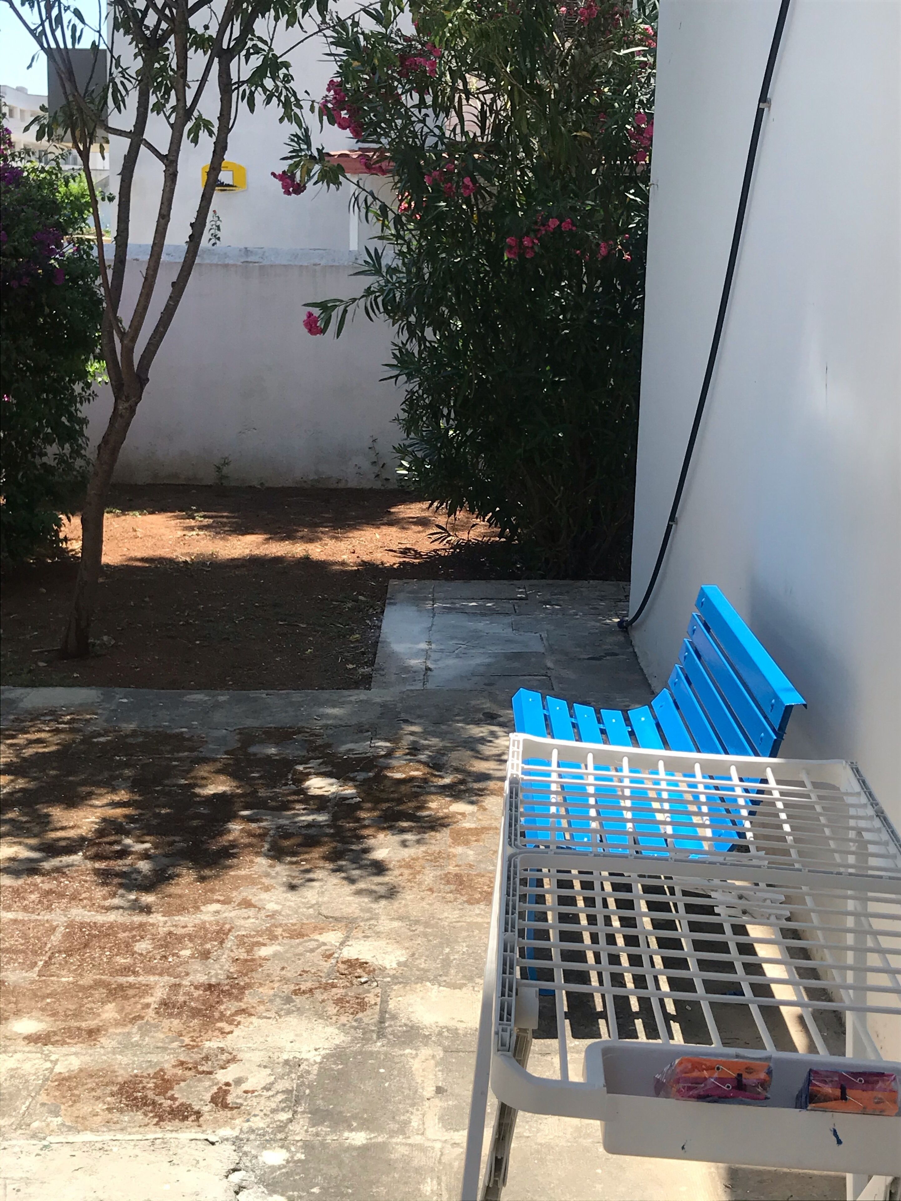 Une cour avec un banc bleu, un petit arbre et un mur blanc.