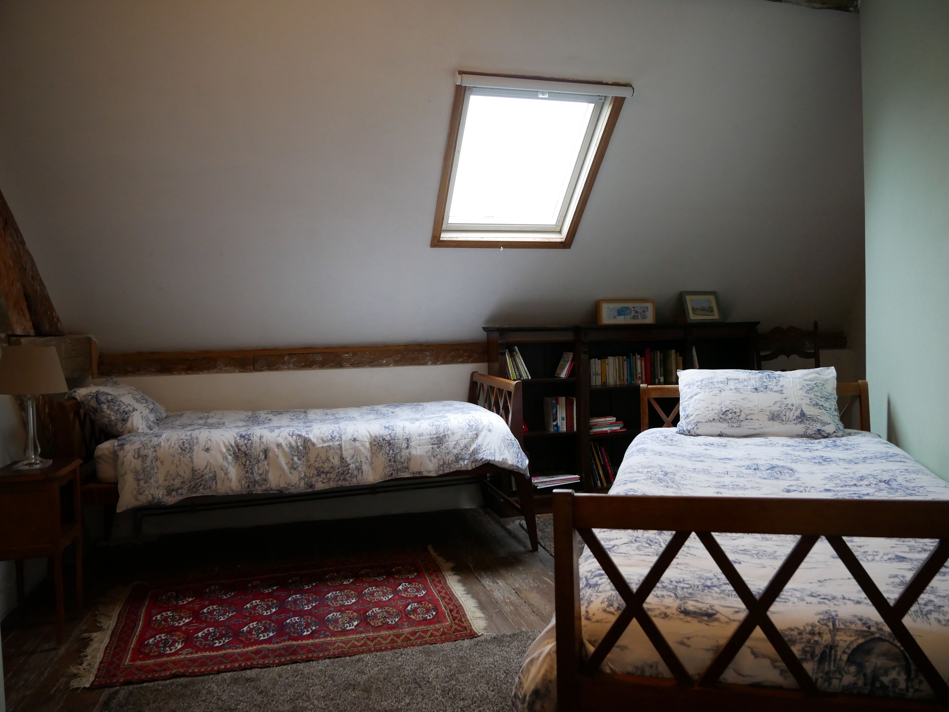 A bedroom with two beds, a skylight, a bookshelf, and a red patterned rug.