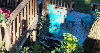 Fish, swim, sun and relax!