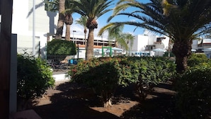 A courtyard with palm trees, a bicycle, and a building in the background. - Spring Apartment  (Costa del Silencio)