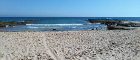 Una spiaggia nelle vicinanze