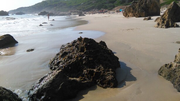 A beach with large rocks, a sandy shore, and a forested hillside in the background. -  House with sea views. Free WIFI. Punta Paloma, Tarifa (Tarifa)