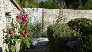 En stenmur med klätterväxter och blommor, en stensatt gång och ett trädgårdsområde med tät växtlighet.