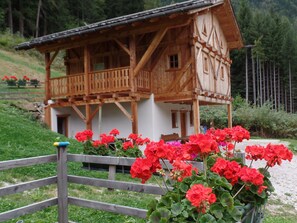 A wooden chalet with a balcony, surrounded by a wooden fence and red flowers. - MASET POZZATTI MOUNTAIN CHALET (Baselga)