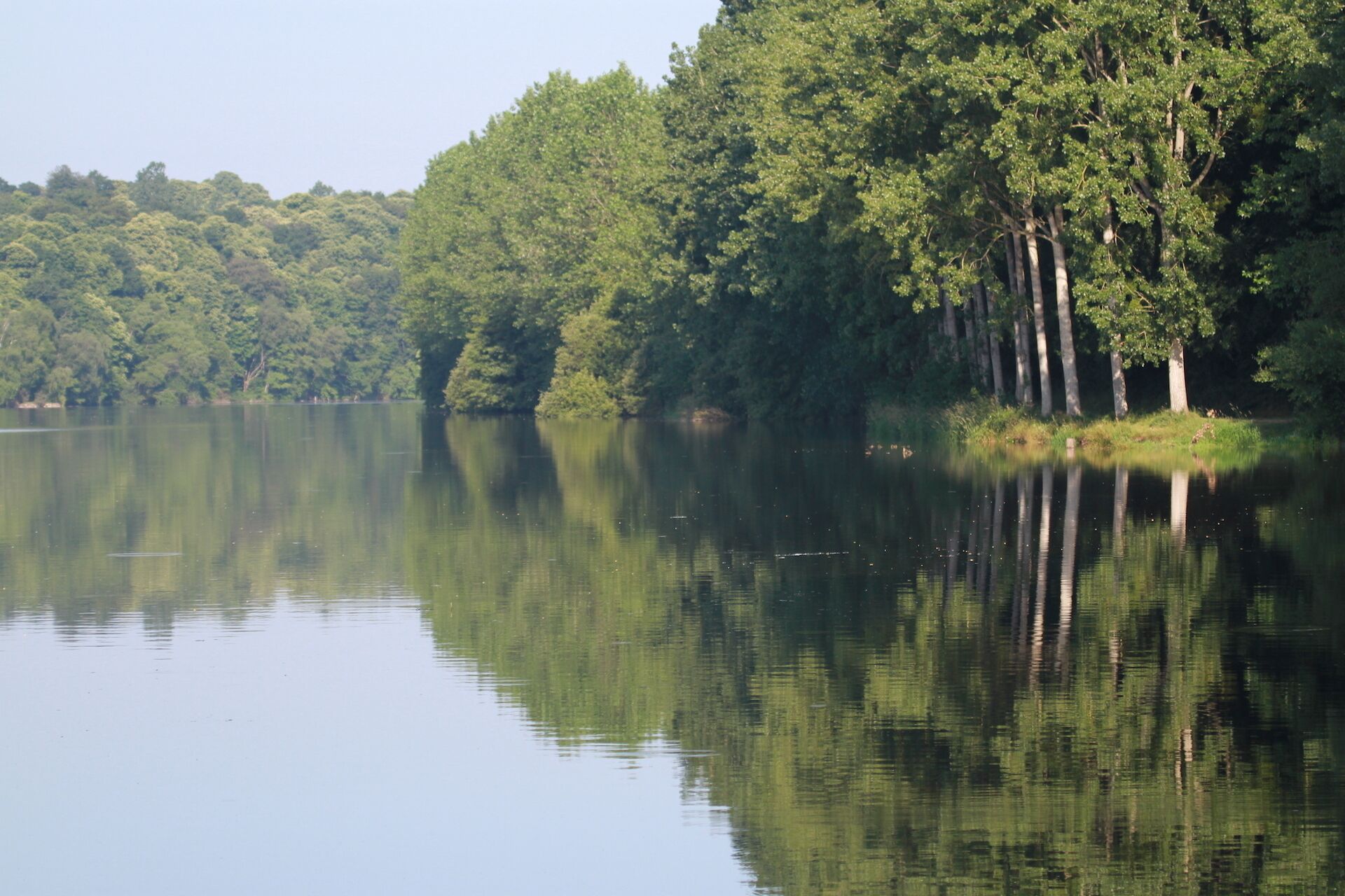 A calm lake surrounded by dense forest.