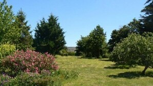 Un champ herbeux avec des arbres et un bâtiment en arrière-plan.