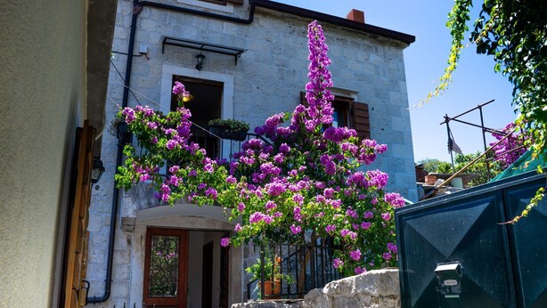 Un edificio de piedra con una puerta de madera y una ventana.