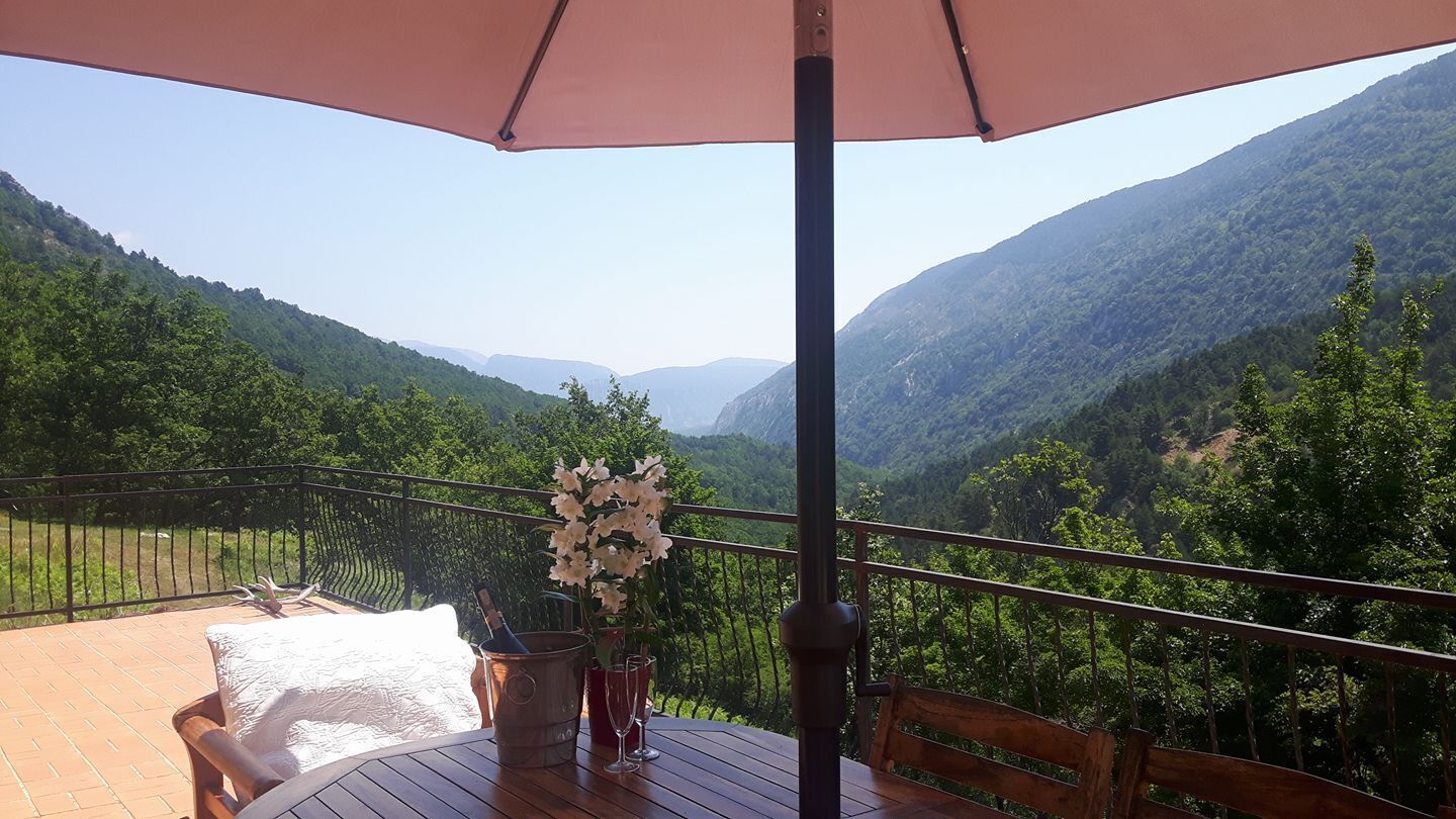 Dining room with a view
