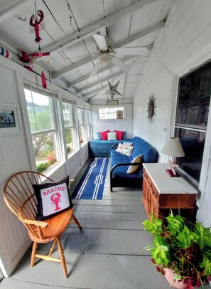 TV, DVD player, books