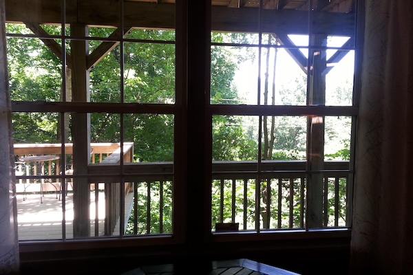 view from the living room window