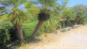 A garden with palm trees and benches. - Villa Giuliana, bedroom for 4/5 Ptl. (Capoliveri)