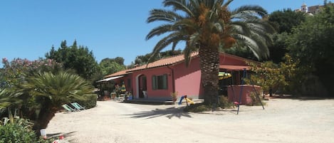 A small house with a red roof, surrounded by palm trees and greenery.