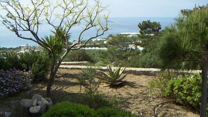 Un giardino con diverse piante e vista sul mare.