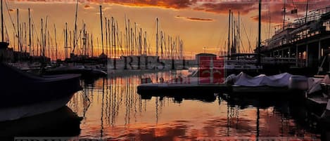 Marina