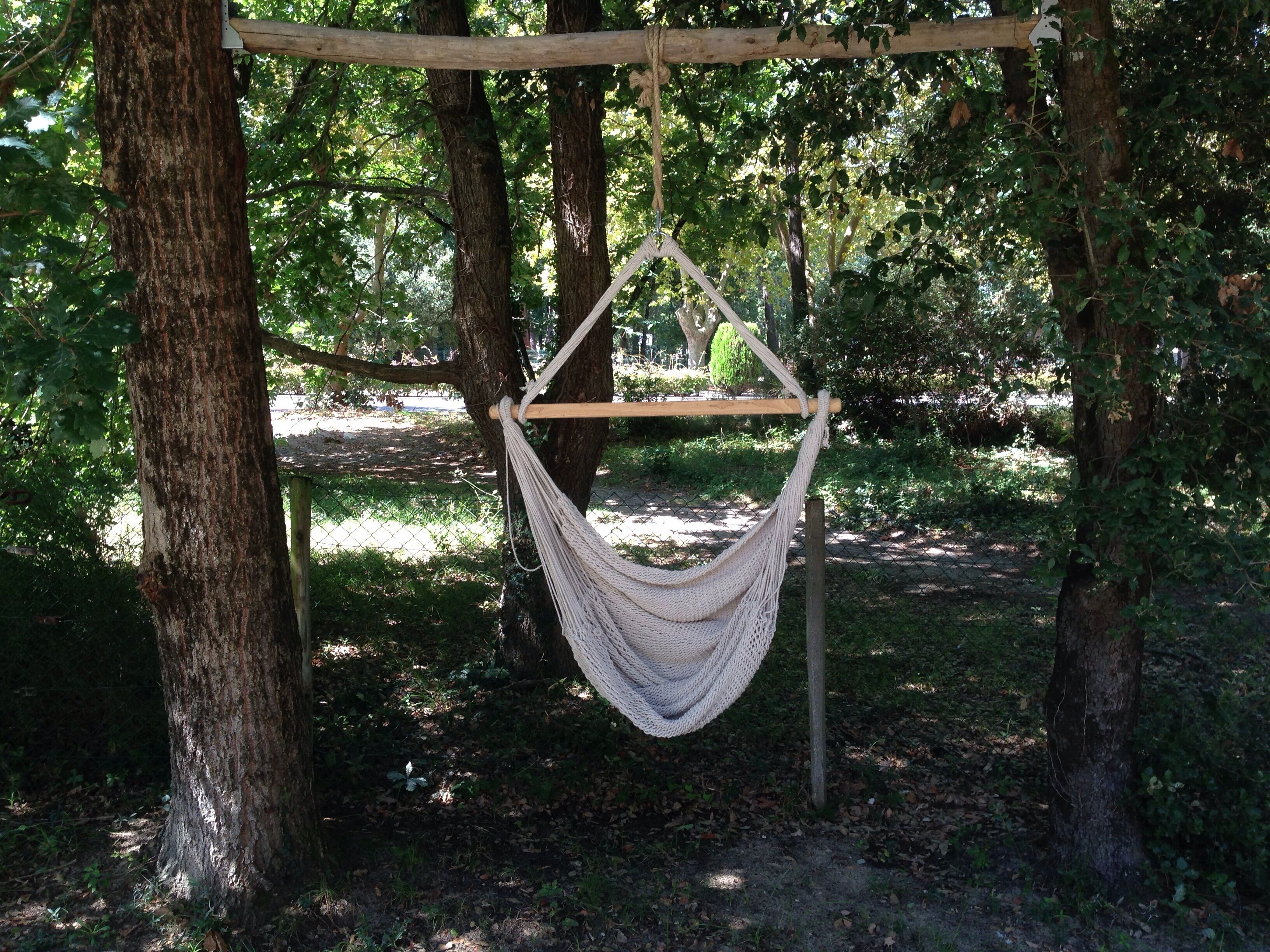 A hammock hanging between trees in a wooded area.