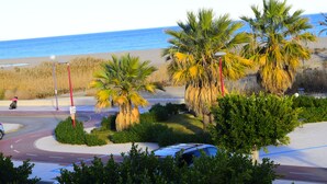 A coastal road with palm trees and a beach in the background.