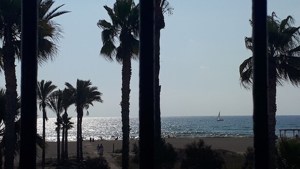 A beach with palm trees and a sailboat on the water.