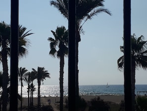 A beach with palm trees and a sailboat on the water.