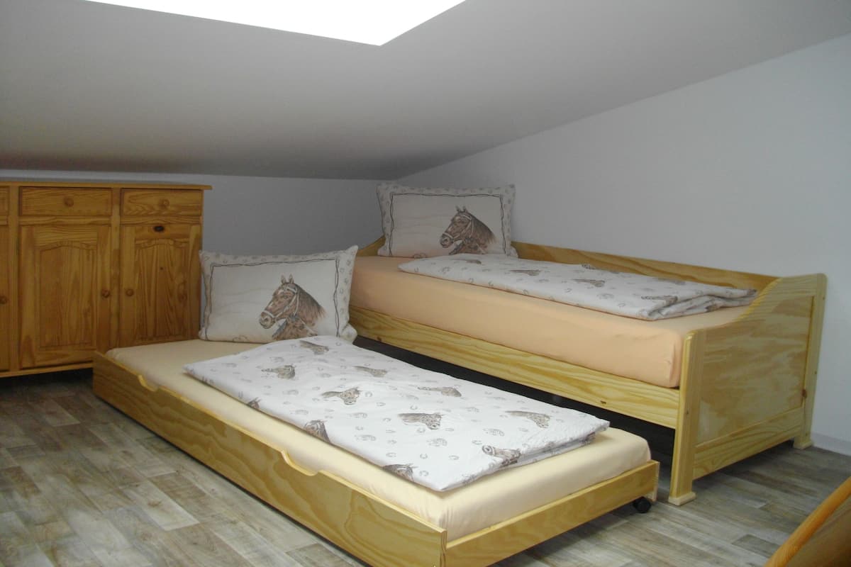 Family Apartment (IV)