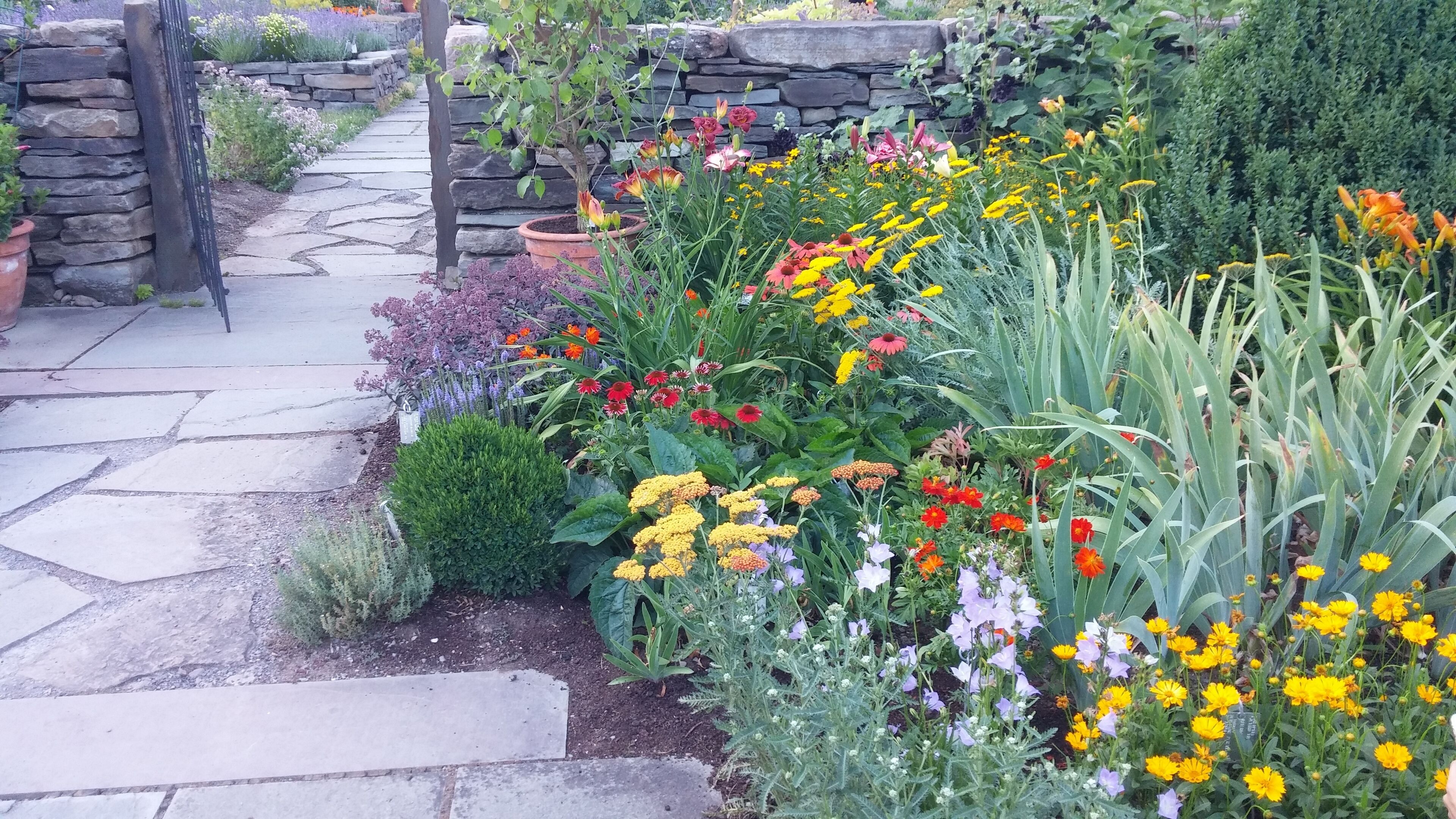 Cornell Plantations