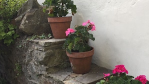 A stone staircase with potted plants.