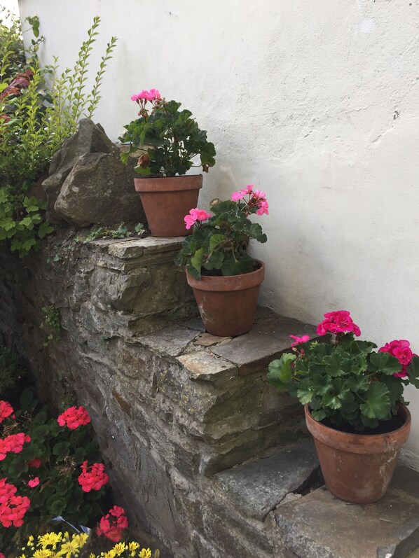 A stone staircase with potted plants.