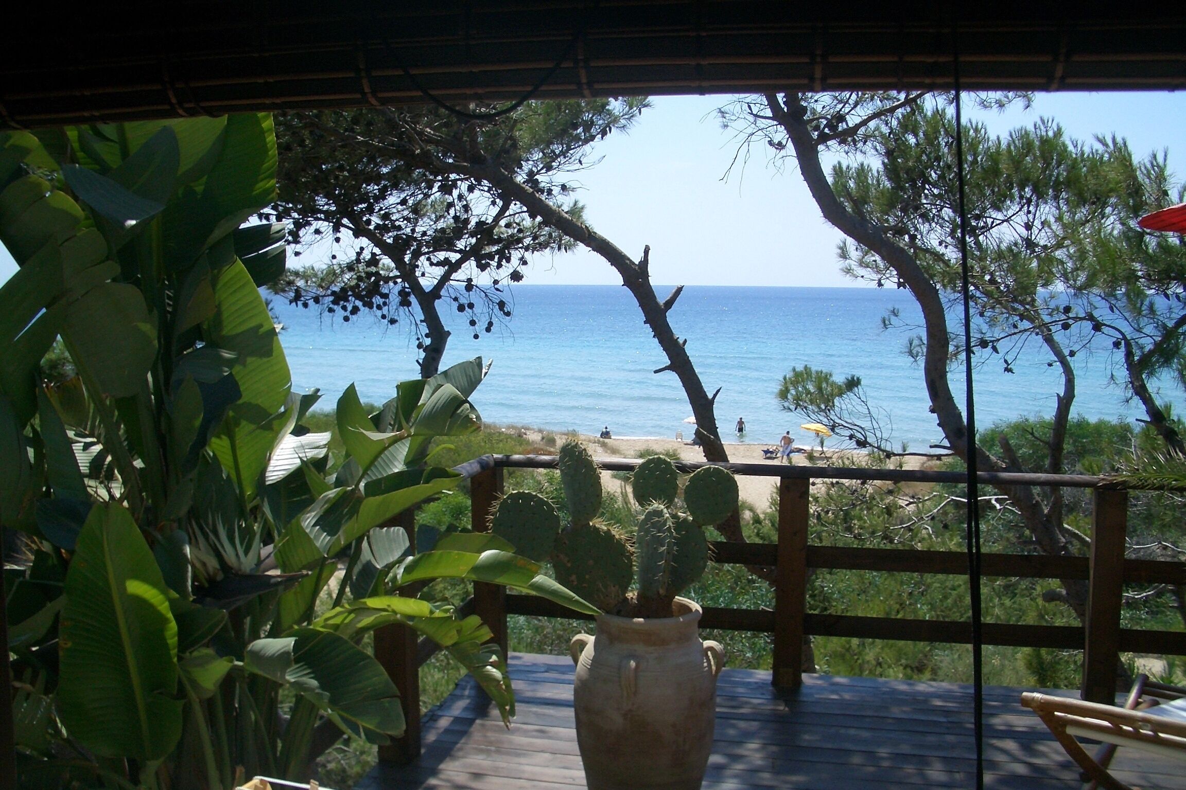 a love nest on the sea