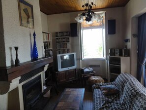 Televisión, chimenea, reproductor de DVD y libros
