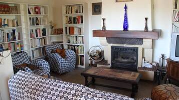 Télévision, cheminée, lecteur de DVD, livres