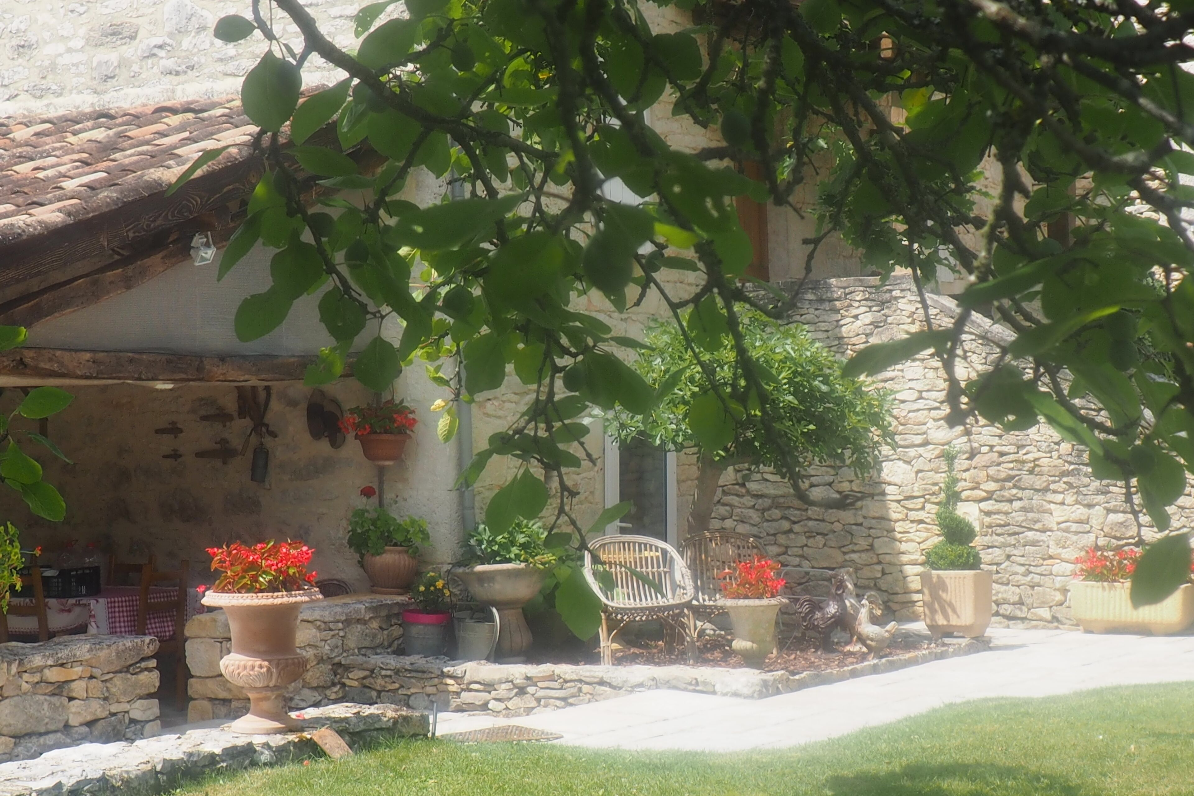 Terraza o patio