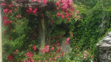 Ărea da propriedade