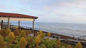 A coastal view with a covered pavilion, a rocky shoreline, and a variety of succulents.