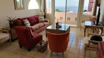 TV connectée, lecteur de DVD, vidéothèque