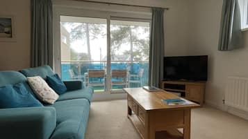 Een smart-tv, videogames, een dvd-speler en boeken