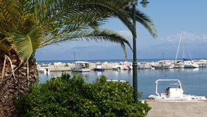 Ein Yachthafen mit Booten, einer Palme und blauem Himmel.