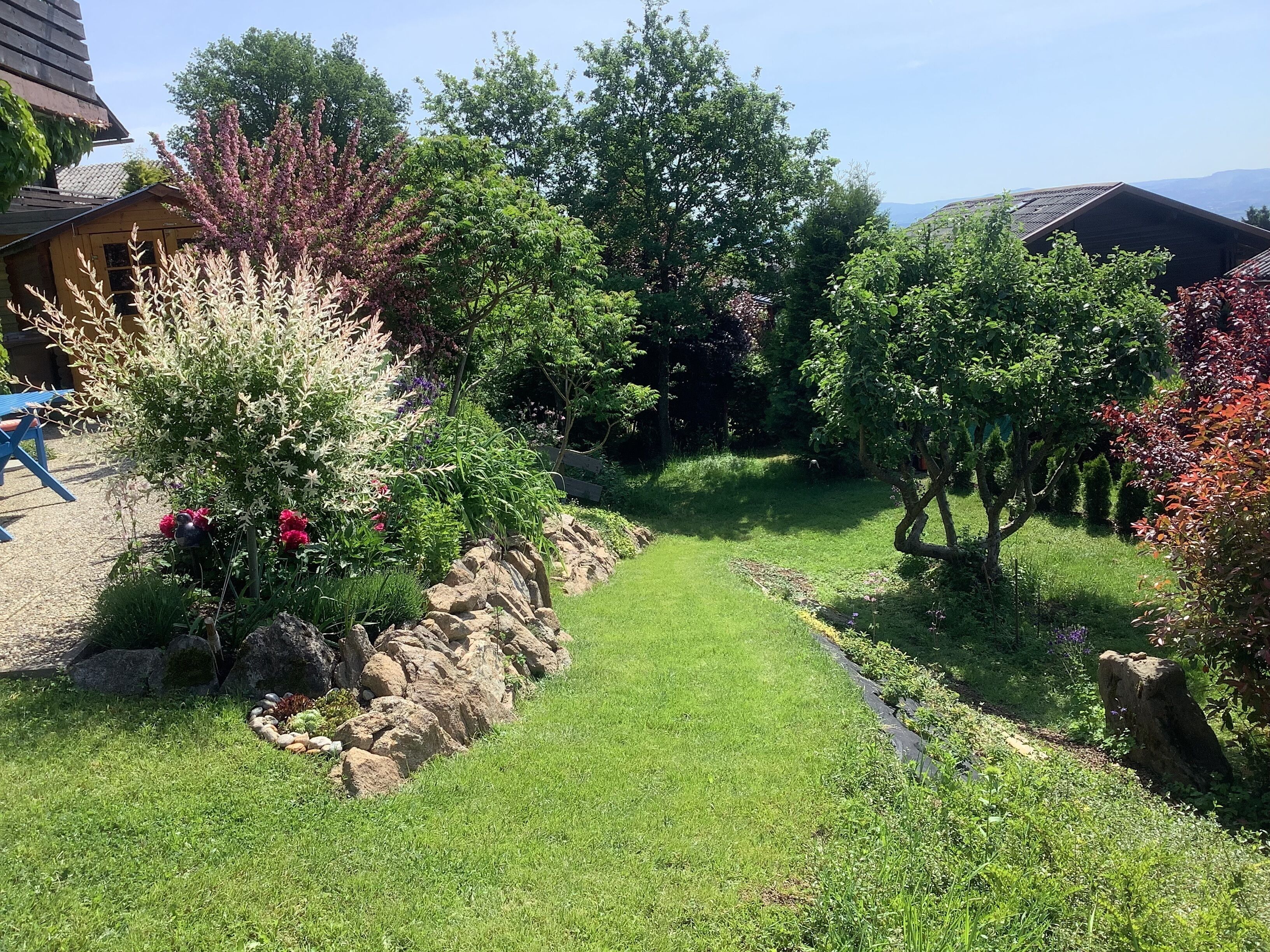 Un jardín cuidado con un sendero cubierto de césped, arbustos diversos y árboles.