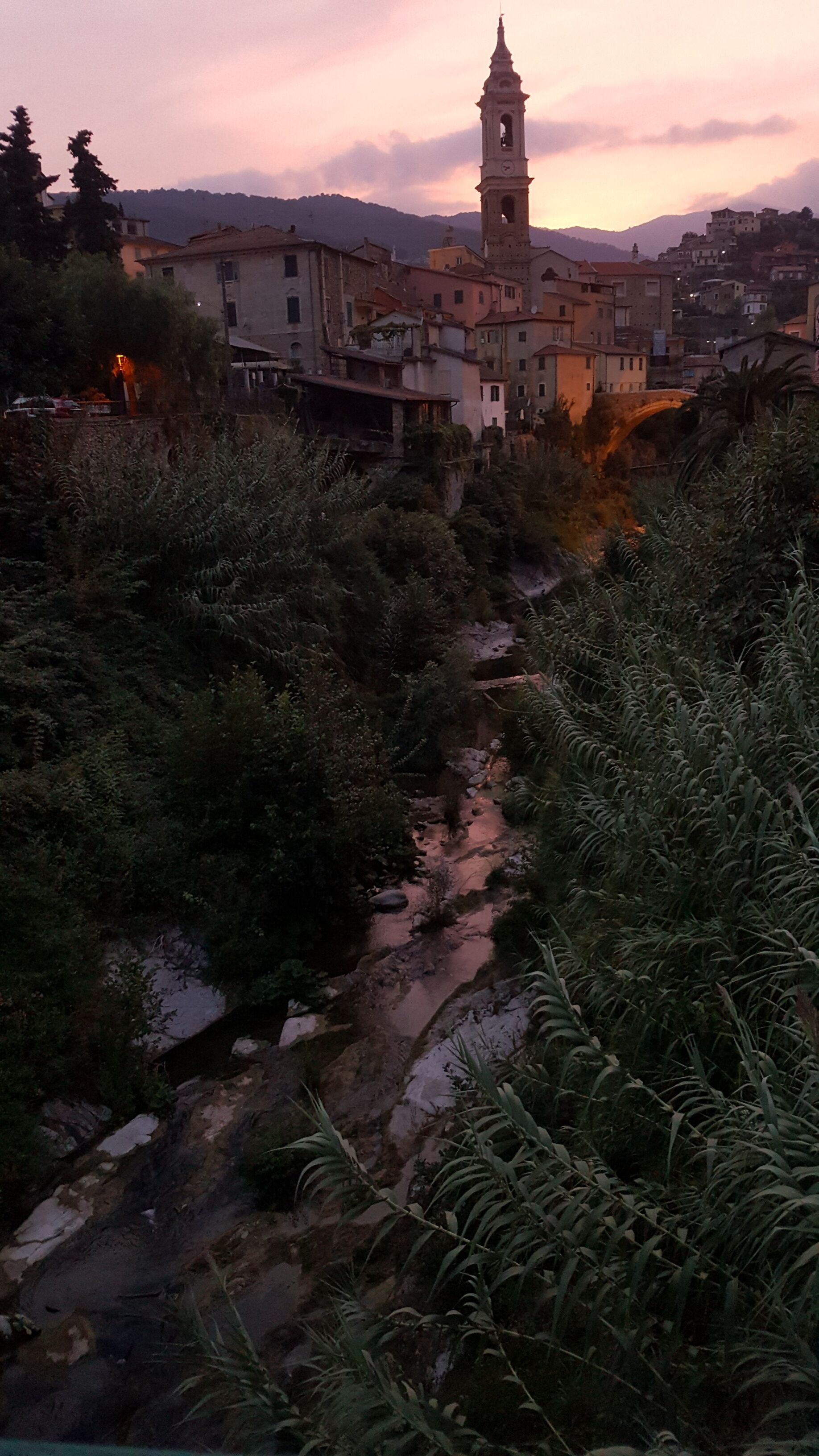 Un río serpentea por un valle con vegetación densa a ambos lados.
