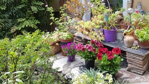 A garden with various potted plants and flowers, a stone wall, and a building with a yellow facade. - Apartment With Large Terrazzo And Garden In Tranquil Village internet wifi (Costa Carnara)
