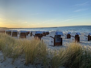 On the beach, sun-loungers