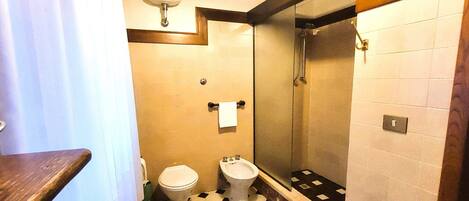 A bathroom with a toilet, bidet, and a shower stall.