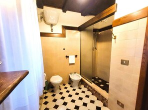 A bathroom with a toilet, bidet, and a shower stall. - 4 bedroom, 2 bathroom converted Mill house with private pool.  Outdoor kitchen! (Poggio Camporgiano)