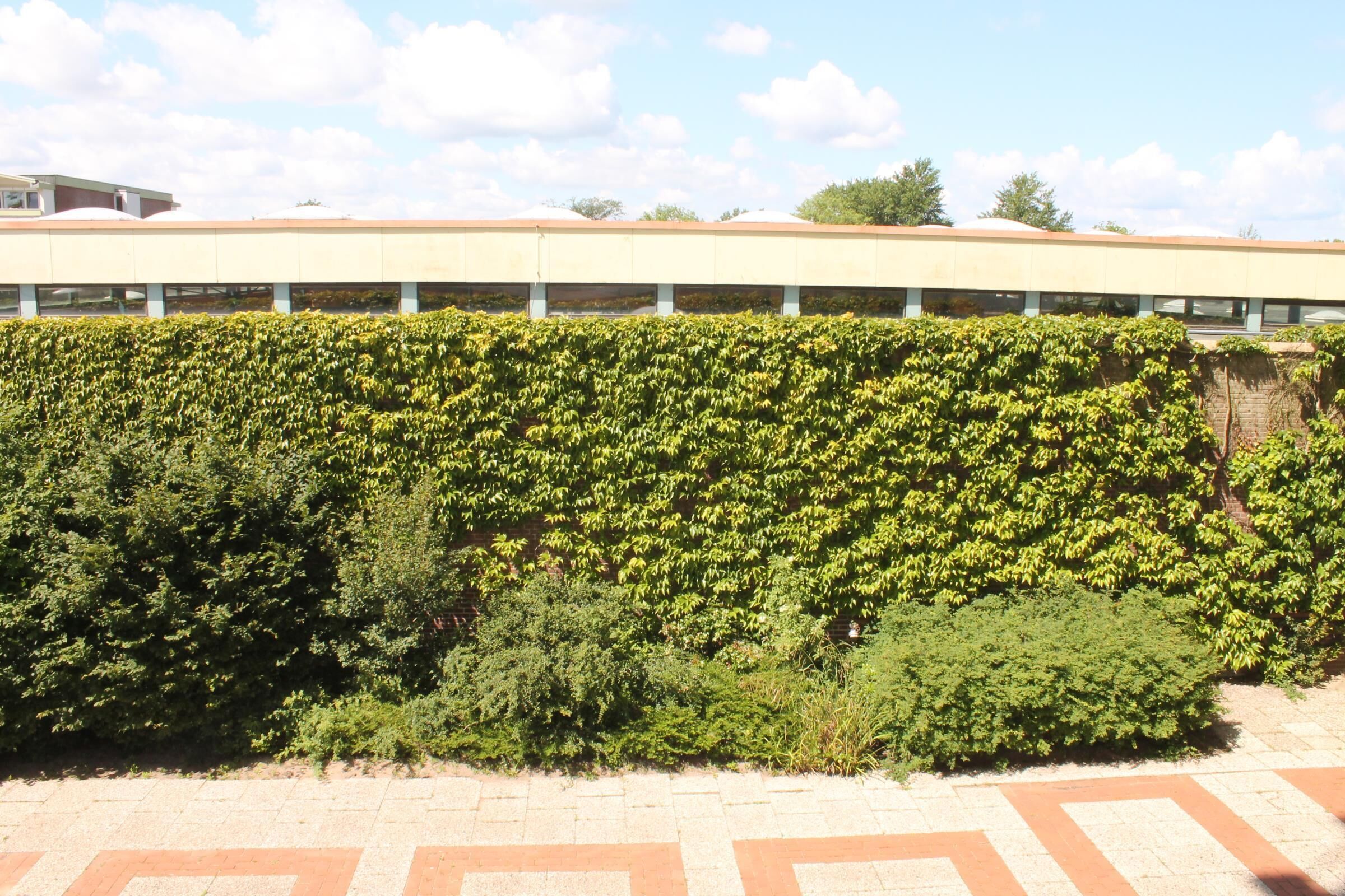 A building with a flat roof and a hedge in front.