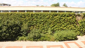 A building with a flat roof and a hedge in front. - Holiday apartment K112 for 2-4 persons near the beach (Schönberg OT Holm)
