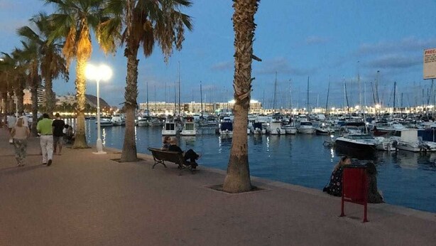 A marina with boats docked, palm trees lining the walkway, and a bench for seating. - TRADITIONAL SPANISH TOWN HOUSE INLAND SAX ALICANTE. SLEEPS 6 BED WIFI (sax)