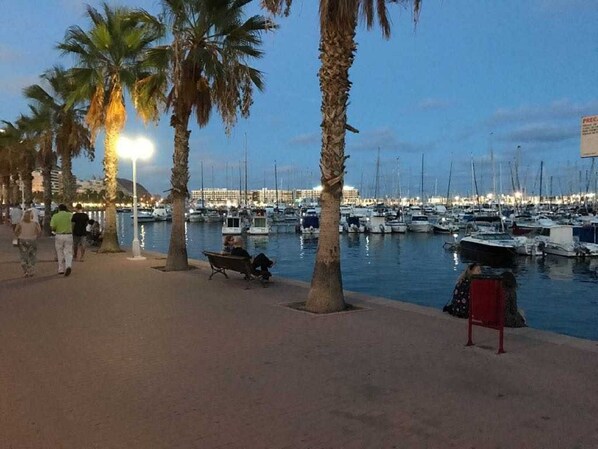 Marina - TRADITIONAL SPANISH TOWN HOUSE INLAND SAX ALICANTE. SLEEPS 6 BED WIFI (sax)