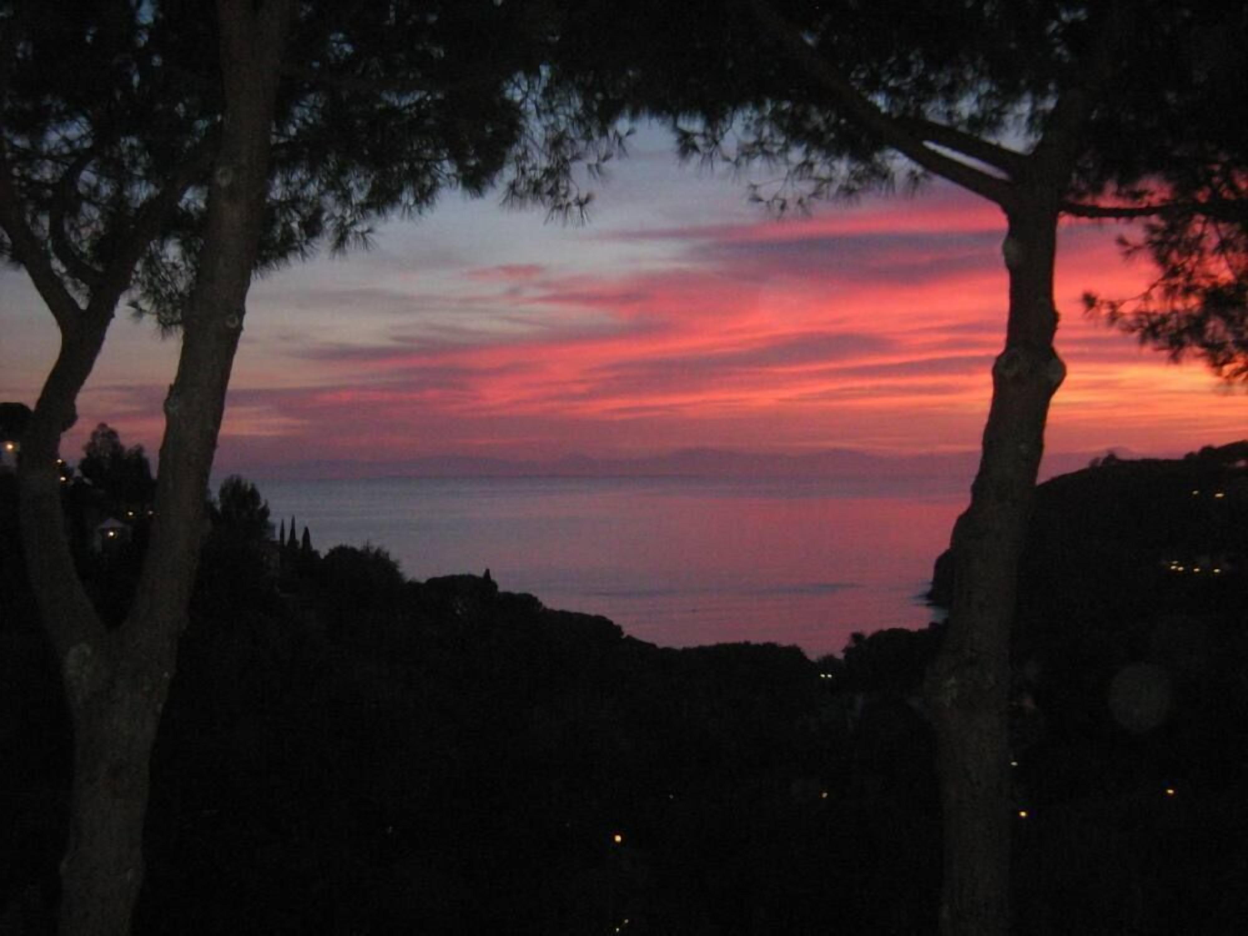 Panorama al tramonto con alberi che incorniciano la vista.