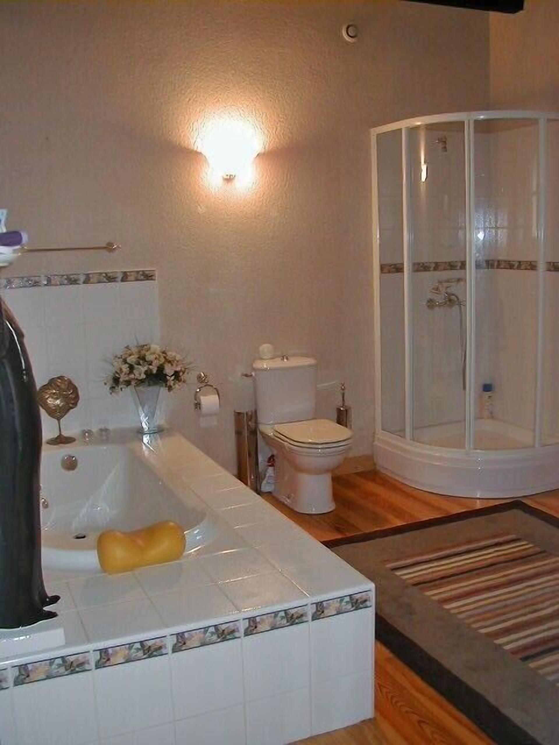 Landes - Character cottage on large wooded park with swimming pool