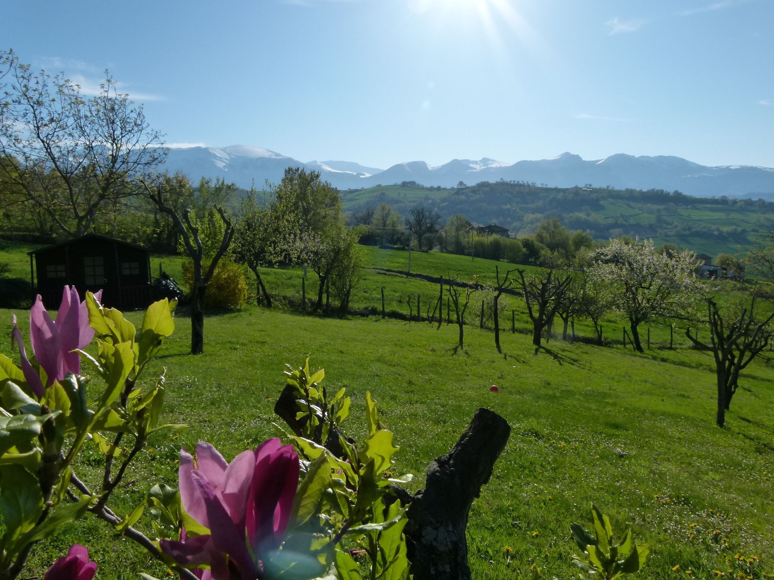 Parco della struttura